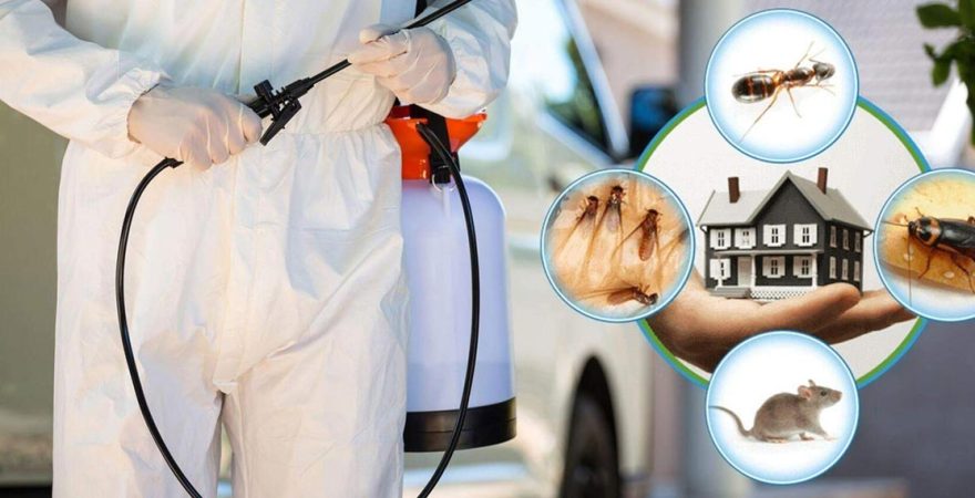 Yenişehir Böcek İlaçlama