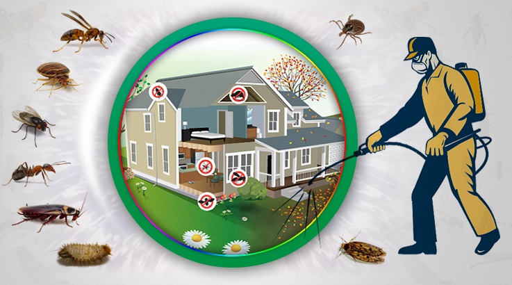 Yenişehir Böcek İlaçlama