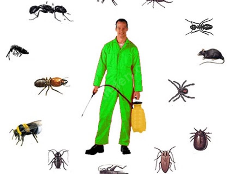 Yenişehir Böcek İlaçlama